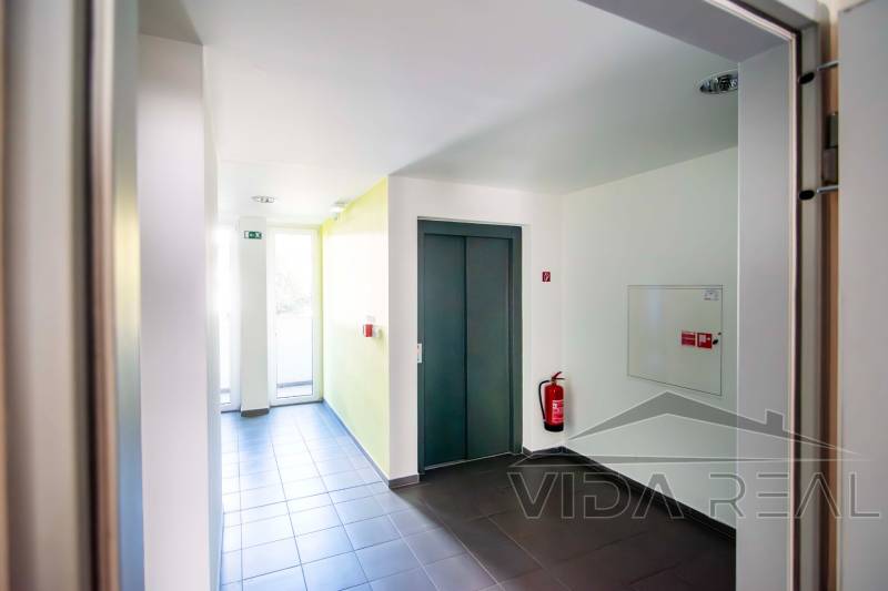 DSC_0033-Enhanced-NR copy.jpg