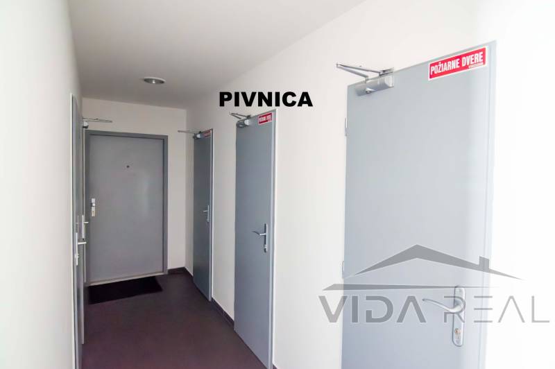 DSC_0031-Enhanced-NR copy.jpg