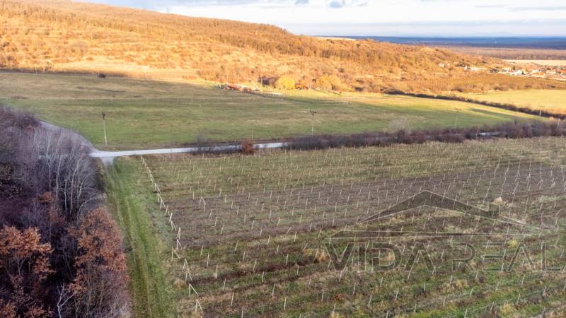 pozemok 2025 2222.jpg