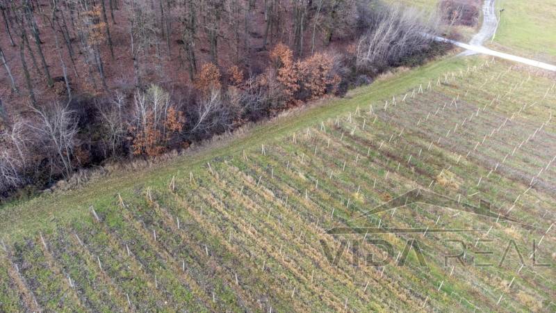 pozemok 2025 222.jpg