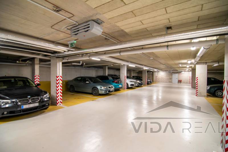 DSC_0926-Enhanced-NR copy.jpg