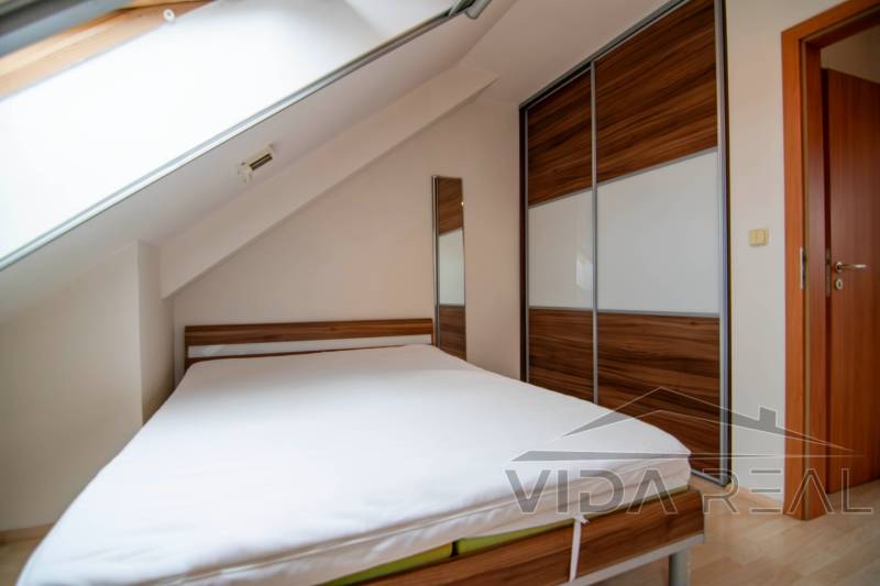 DSC_0009-Enhanced-NR copy.jpg