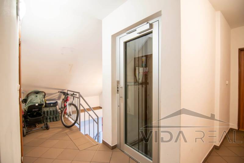 DSC_0026-Enhanced-NR copy.jpg