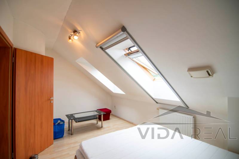 DSC_0008-Enhanced-NR copy.jpg