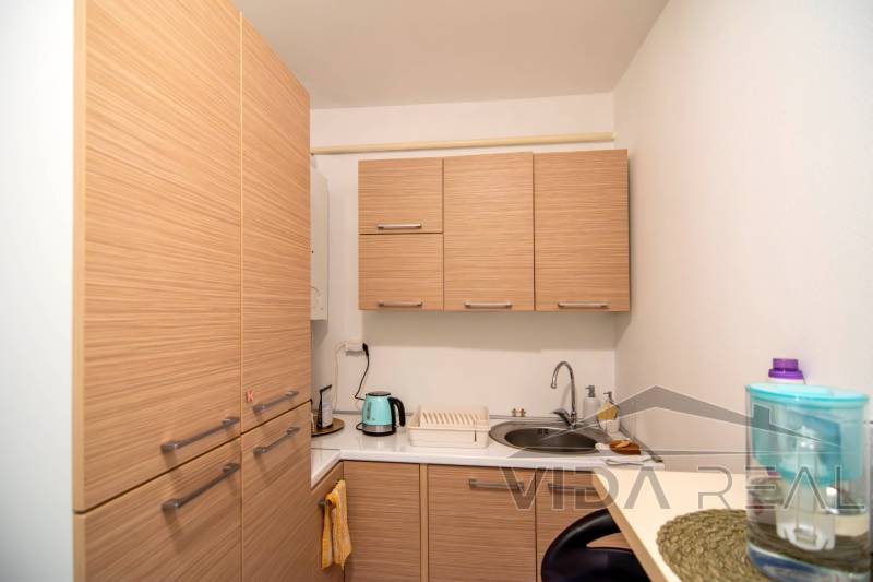 DSC_0038-Enhanced-NR copy.jpg