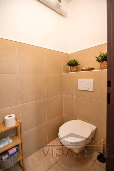 DSC_0030-Enhanced-NR copy.jpg