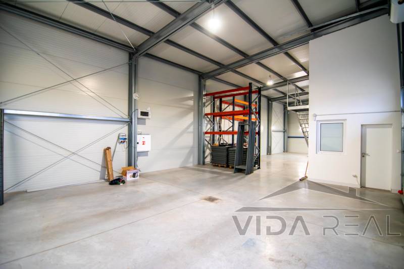 DSC_0012-Enhanced-NR copy.jpg