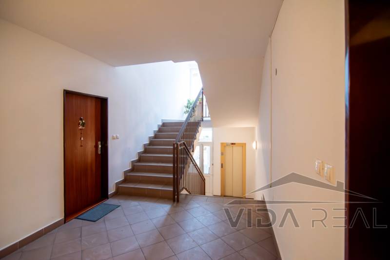 DSC_0053-Enhanced-NR copy.jpg