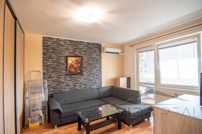 DSC_0048-Enhanced-NR copy.jpg