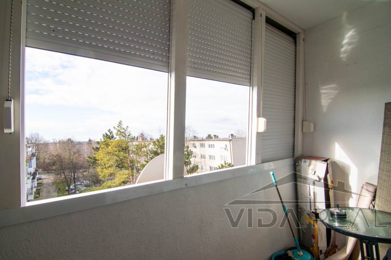 DSC_0051-Enhanced-NR copy.jpg