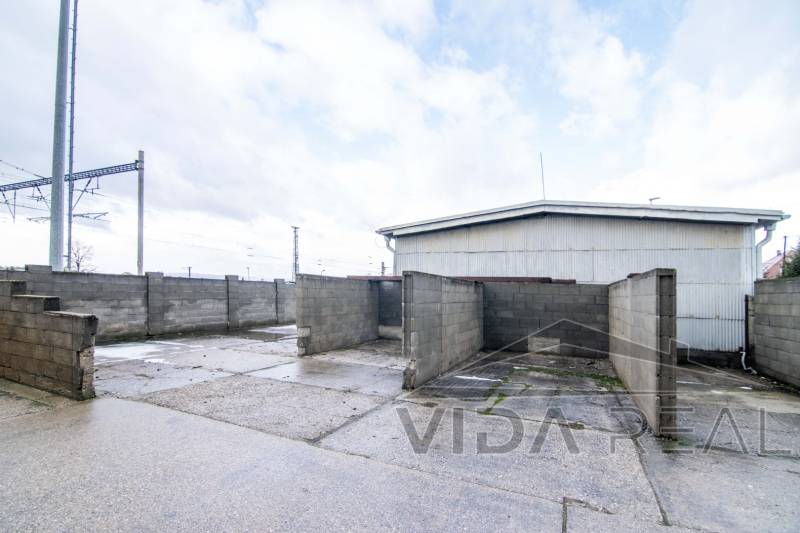 DSC_0084 copy (Large).jpg