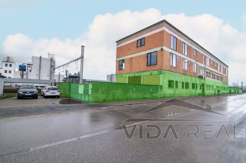 DSC_0052 copy2 (Large).jpg