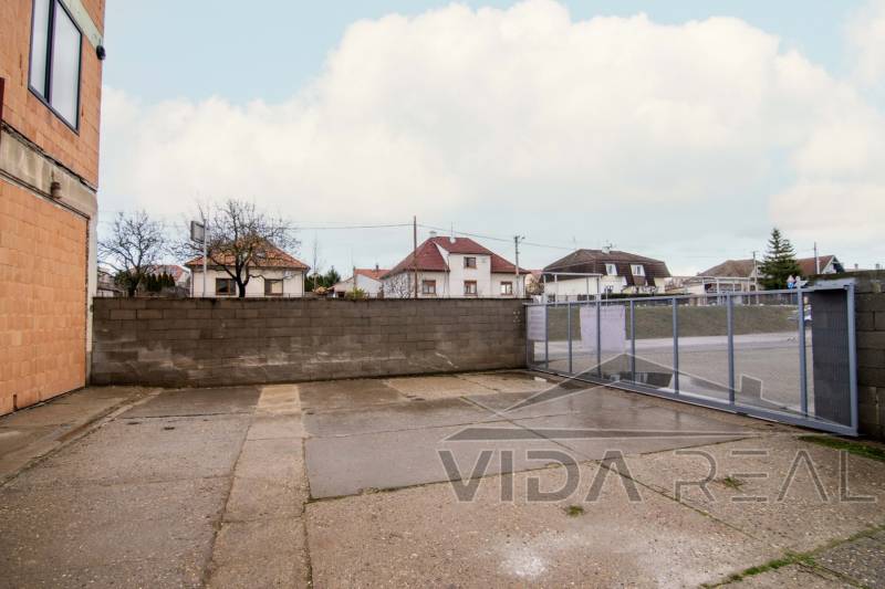 DSC_0077 copy (Large).jpg