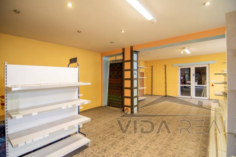 DSC_0063-Enhanced-NR copy (Large).jpg