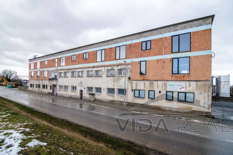 DSC_0053-Enhanced-NR copy (Large).jpg