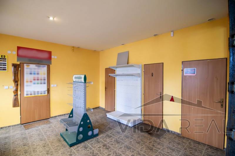 DSC_0064-Enhanced-NR copy (Large).jpg