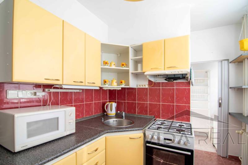 DSC_0077-Enhanced-NR copy.jpg