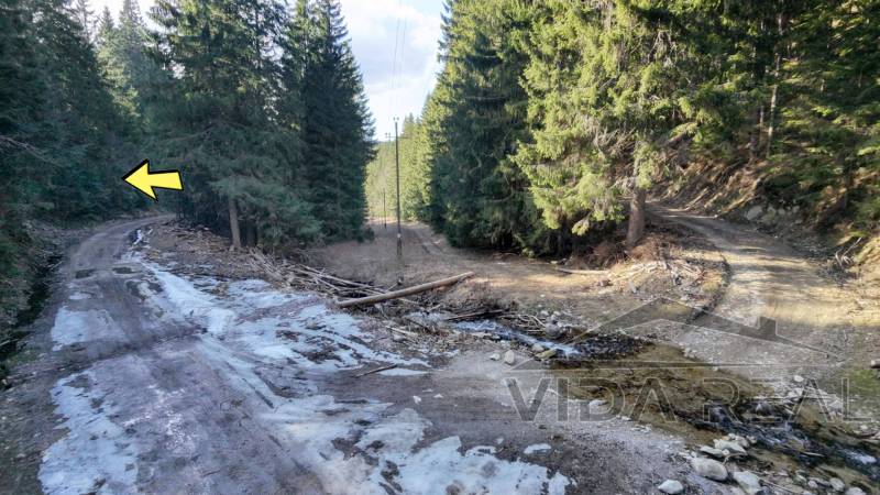 20260315143542_0045_D copy.jpg