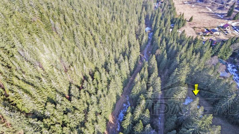 20260315143437_0041_D copy.jpg