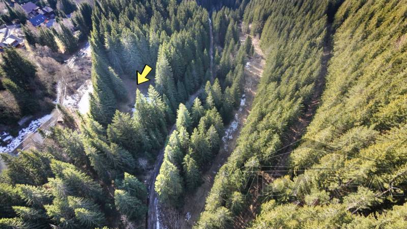 20260315143315_0028_D copy.jpg