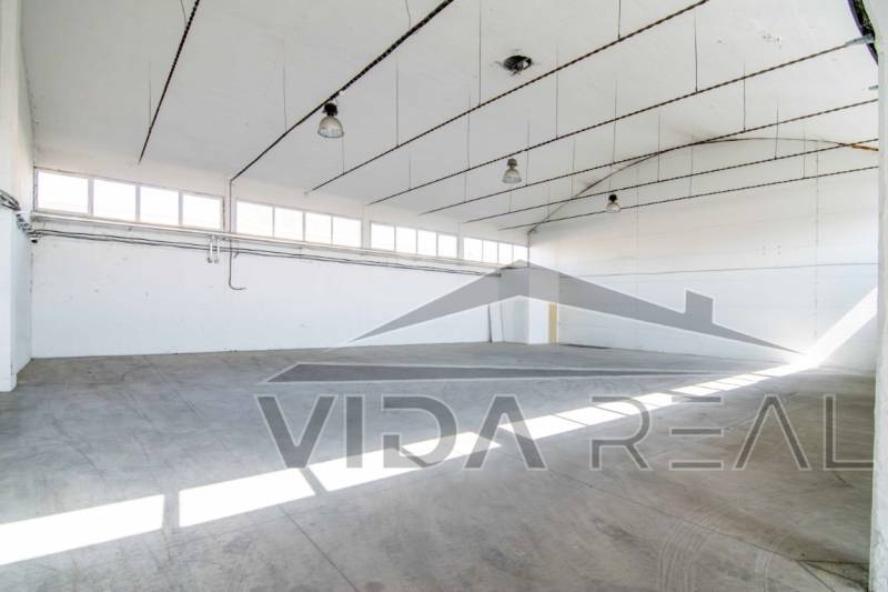 DSC_0075-Enhanced-NR copy.jpg