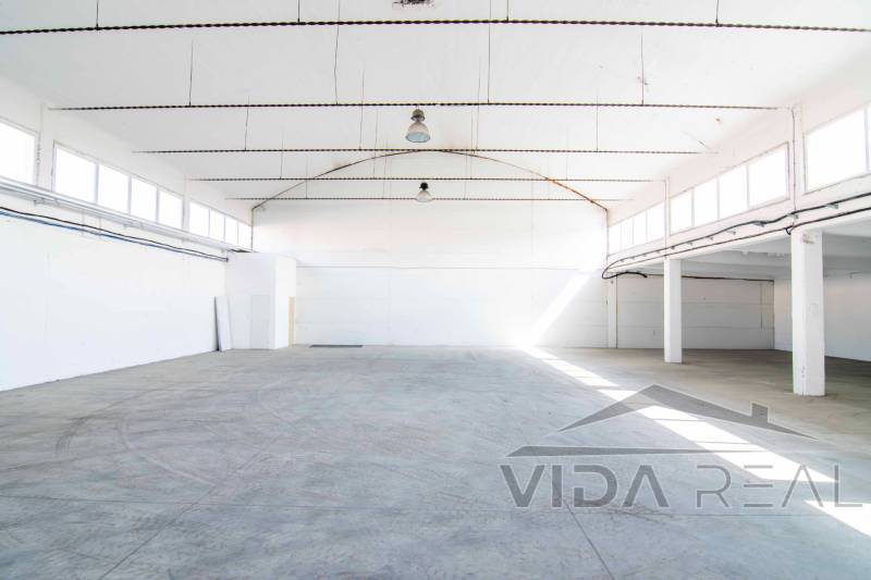 DSC_0074-Enhanced-NR copy.jpg