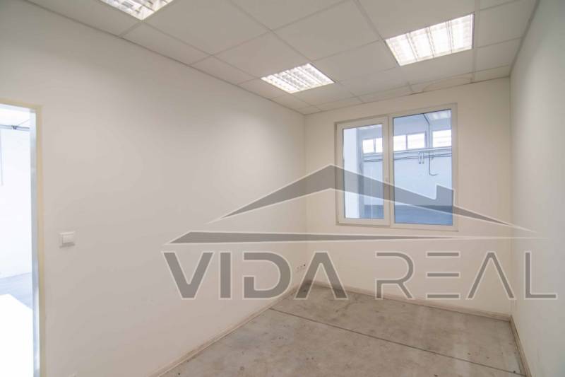 DSC_0078-Enhanced-NR copy.jpg