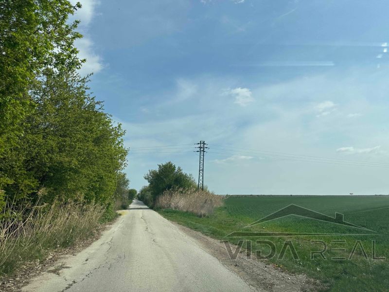 cesta